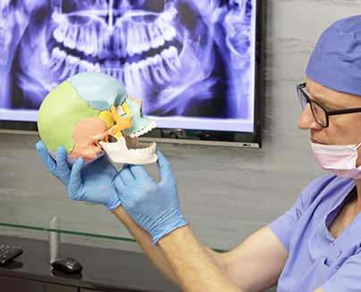 Dentist holding multicolored model of skull